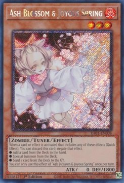 /prodotti/singles/ygo/ra01/ash-blossom-joyous-spring-v4-platinum-secret_741205.jpg