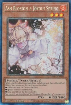 /prodotti/singles/ygo/ra01/ash-blossom-joyous-spring-v6-collectors-rare_741207.jpg