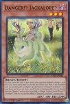 Pericolo!? Jackalope?