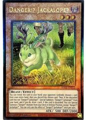 Pericolo!? Jackalope?
