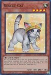 Gatto da Soccorso