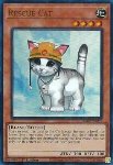 Gatto da Soccorso