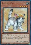Gatto da Soccorso