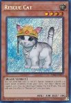 Gatto da Soccorso