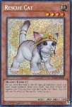 Gatto da Soccorso