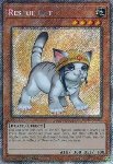 Gatto da Soccorso