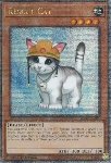 Gatto da Soccorso