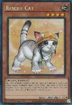 Gatto da Soccorso