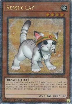 /prodotti/singles/ygo/ra02/rescue-cat-v5-quarter-century-secret-rare-v2_770008.jpg