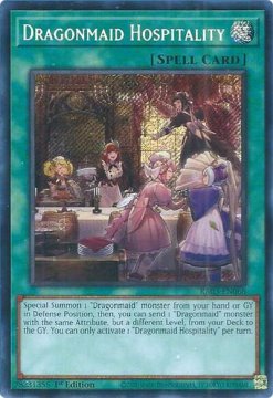 /prodotti/singles/ygo/ra03/dragonmaid-hospitality-v3-secret-rare_797801.jpg