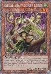 Domatore Bestia Spirito Elder