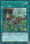 Quell’Erba Sembra Più Verde