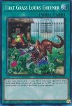 Quell’Erba Sembra Più Verde