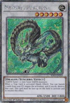 /prodotti/singles/ygo/ra03/naturia-barkion-v4-platinum-secret-rare_798727.jpg