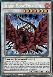 Drago Rosa Nera