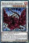 Drago Rosa Nera