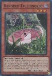 Pericolo!? Tsuchinoko?