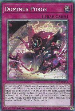 Epurazione Dominus