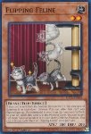 Ribaltamento Felino