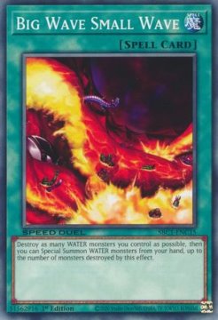 /prodotti/singles/ygo/sbc1/big-wave-small-wave_727800.jpg