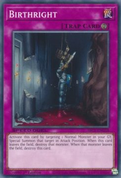 /prodotti/singles/ygo/sbc1/birthright_727720.jpg