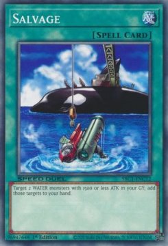 /prodotti/singles/ygo/sbc1/salvage_727797.jpg
