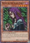 Strega della Foresta Nera