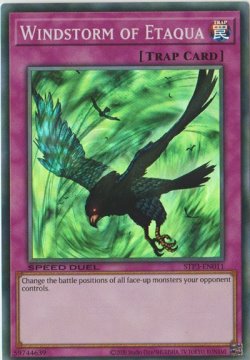 /prodotti/singles/ygo/stp3/windstorm-of-etaqua_611393.jpg