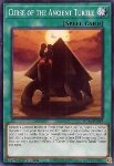 Curse of the Ancient Turtle