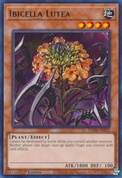 /prodotti/singles/ygo/vasm/ibicella-lutea_744293.jpg