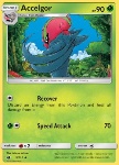 Accelgor 