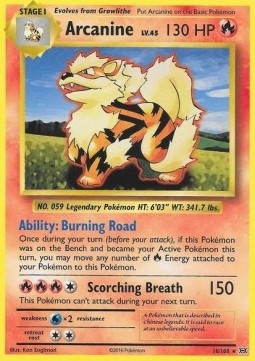 /products/pokemon/arc/arcanine/evolutions-arcanine-293374.jpg