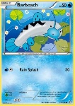 Barboach 