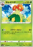 Bellossom 