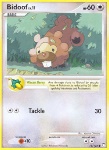 Bidoof Lv.11