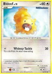 Bidoof Lv.12
