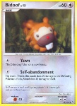 Bidoof Lv.13
