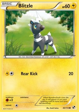 /products/pokemon/bli/blitzle/black-white-blitzle-279778.jpg