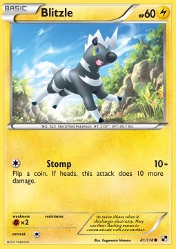 /products/pokemon/bli/blitzle/black-white-blitzle-279779.jpg