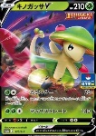 Breloom V 