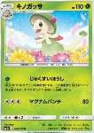 Breloom 