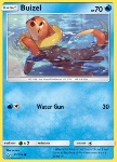 Buizel 