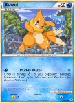 Buizel