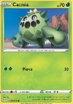 Cacnea 