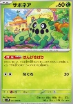 Cacnea 