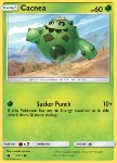 Cacnea 