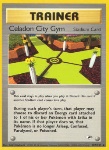 Celadon City Gym