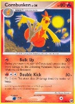 Combusken Lv.24