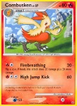 Combusken Lv.27
