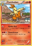 Combusken 